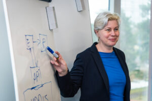 Äri- ja süsteemianalüüsi mentorlus