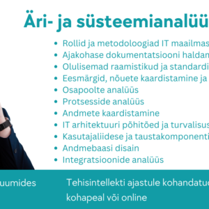 Äri- ja süsteemianalüüsi kursus